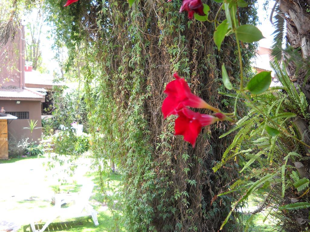 Hosteria Pascana San Salvador de Jujuy Exterior photo